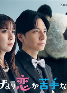 比熊貓更不擅長戀愛的我們/比熊貓更怕戀愛的我們/パンダより戀が苦手な私たち (2026)